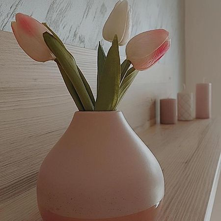 Sunray Apartman Пожаревац Экстерьер фото